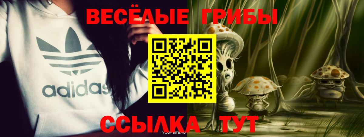 Галлюциногенные грибы мицелий  Вход с VPN  Апшеронск 